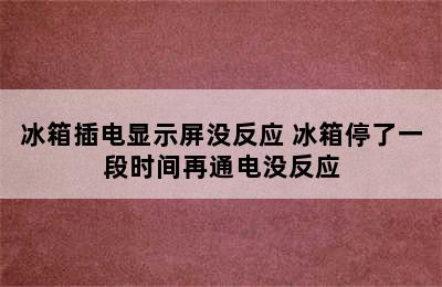 冰箱插电显示屏没反应 冰箱停了一段时间再通电没反应